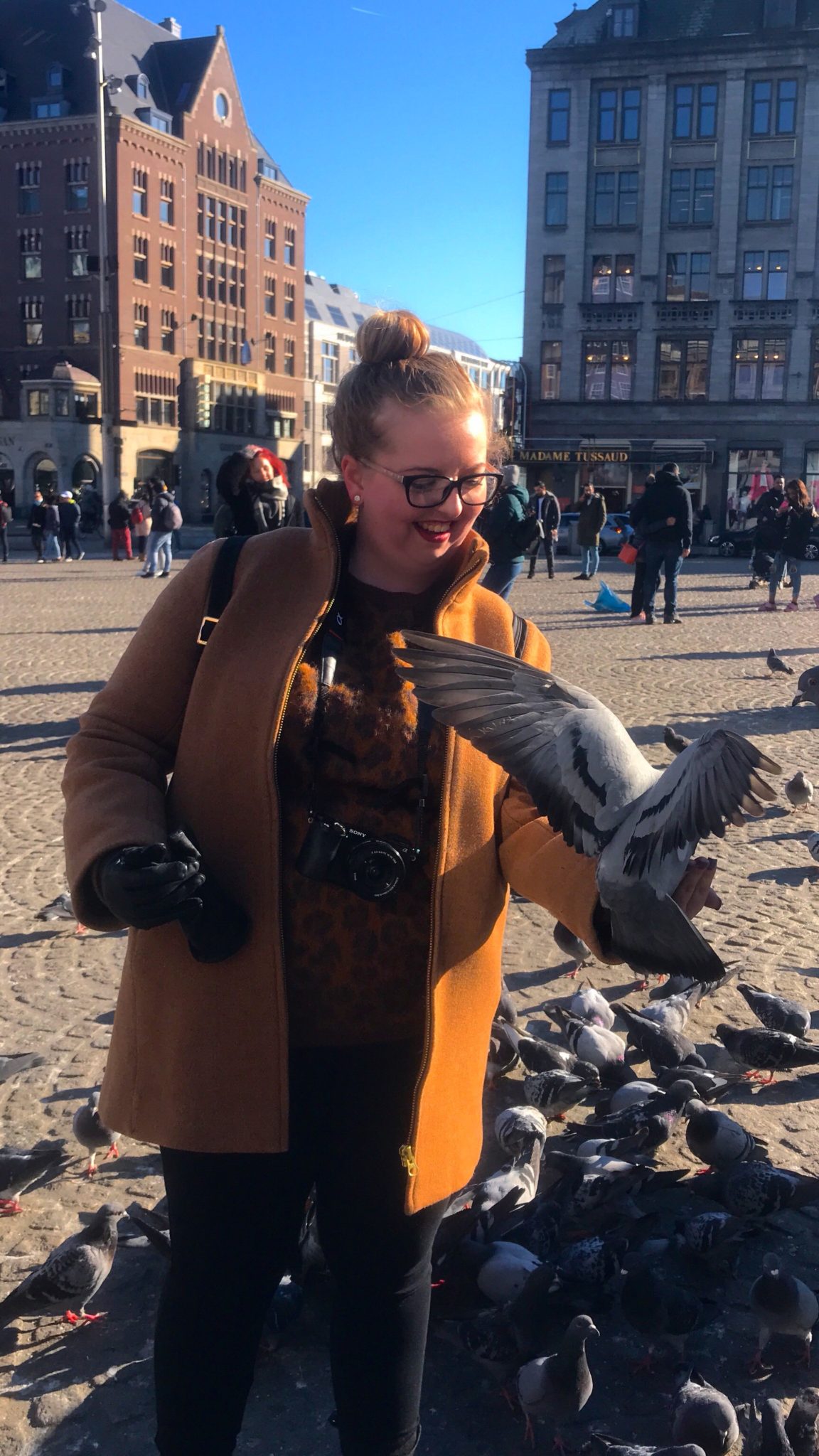Standing in Amsterdam's Dam Square with a pigeon - how to get the cheapest flights