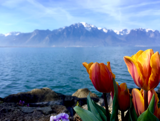 Mountains in Switzerland // Study Abroad Stories #5: Sarah in Lausanne, Switzerland