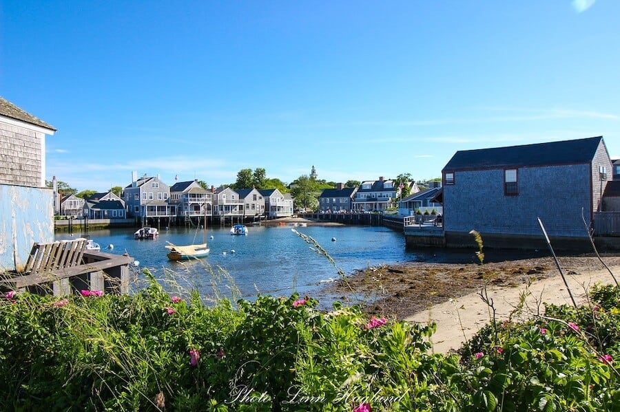 Charming coastal scene at Nantucket Harbor with quaint houses reflecting on the calm waters, boats moored gently, and wildflowers in the foreground.