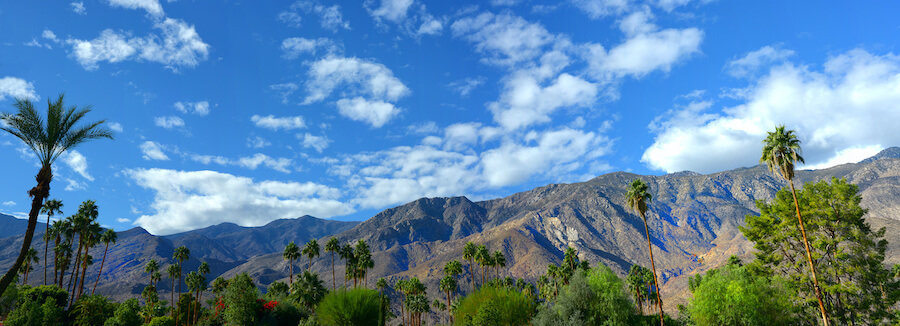 A panoramic view showcasing the majestic San Jacinto Mountains rising behind the lush palm trees of Palm Springs, California, a serene and picturesque spring break destination for college students.