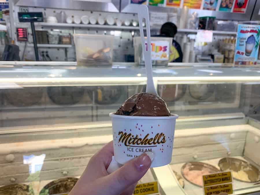 A scoop of chocolate ice cream in a cup from Mitchell's Ice Cream in San Francisco, one of the best ice cream shops in the USA