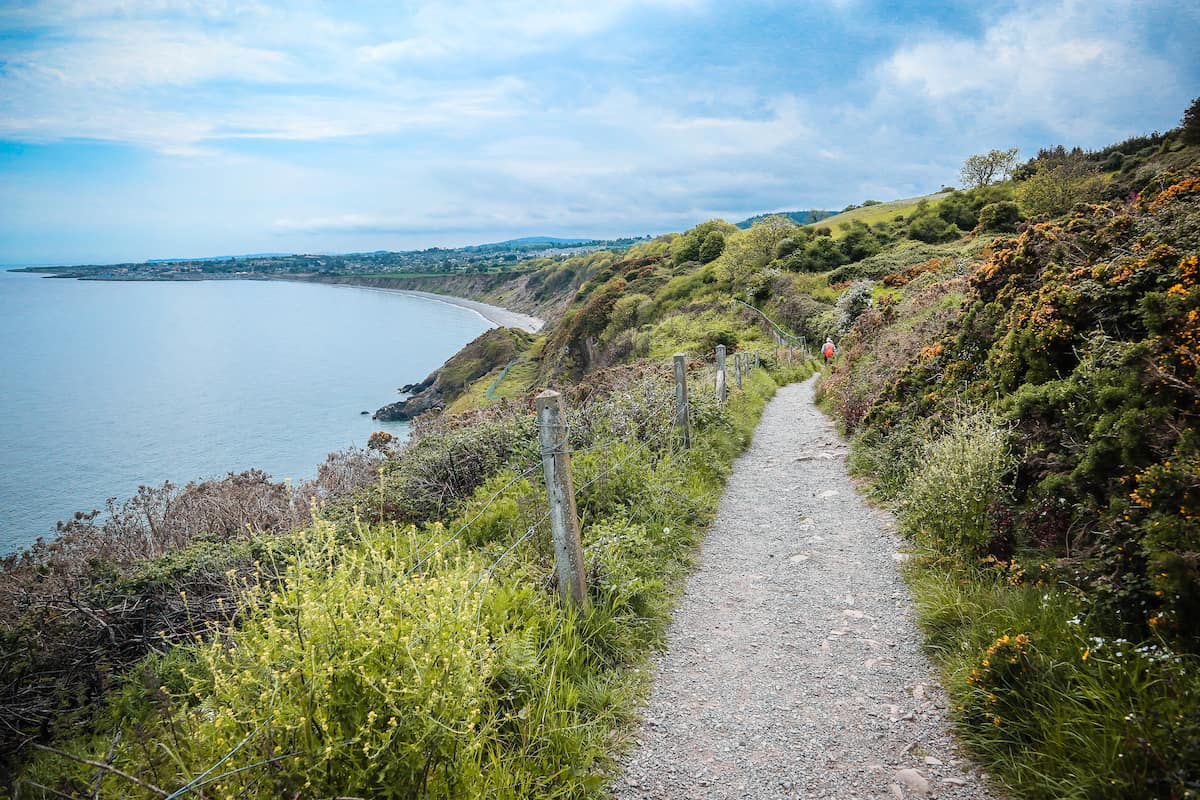 A hiking trail along the coast of Ireland on the Bray to Greystones Cliff Walk in Ireland