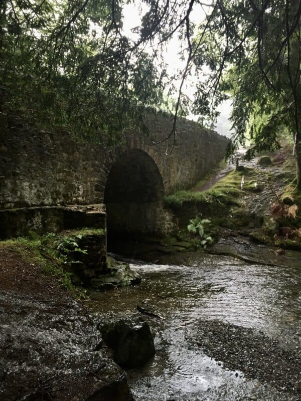 The location where the Starks found the direwolves in Season 1, Episode 1 (Tollymore Forest Park)